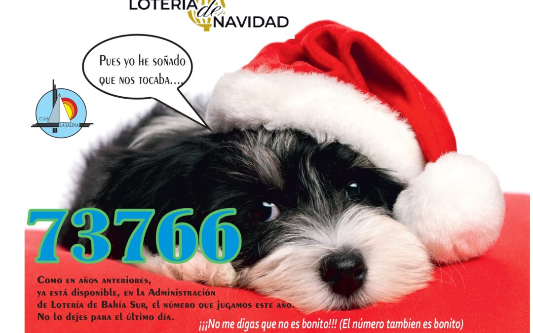 LOTERÍA DE NAVIDAD